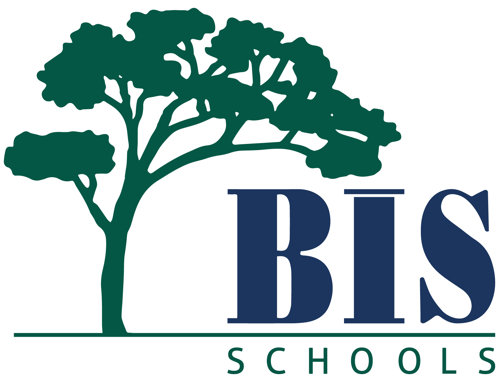 BİS Schools Logo