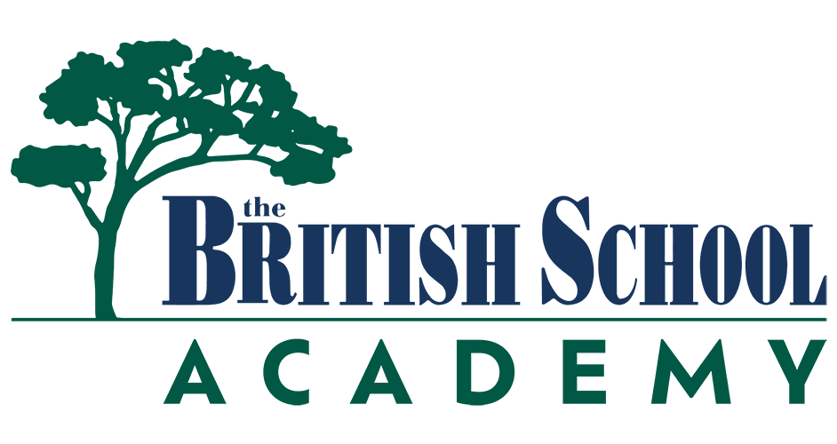 BISI National School logo